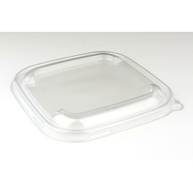 Plastic Lid PET Clear for Bowl 17x17cm (50 Units) 