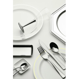 Plastic Plate Extra Rigid with Border Silver 19cm (200 Units)