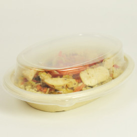 Plastic Lid PET for Container 19x15cm (50 Units) 