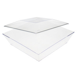 Plastic Tray Clear 25x25cm (30 Uds)