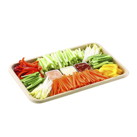 Sugarcane Tray 35x24cm (150 Units)