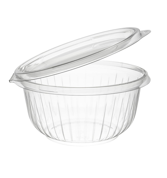 Hinged Lid Clear Plastic Salad Containers