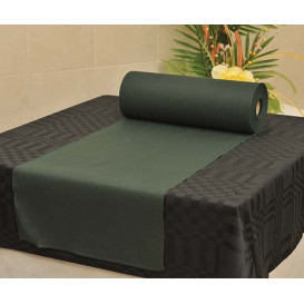 Novotex Table Runner Green 50g P30cm 0,4x48m  (1 Unit)