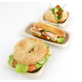 Sugarcane Baguette Container 20x10cm (300 Units)