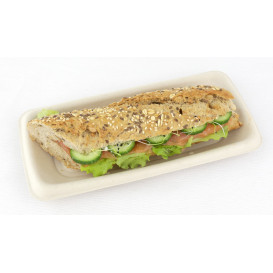 Sugarcane Baguette Container 24x11cm (100 Units) 