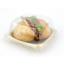 Sugarcane Food Container 13x13cm (50 Units) 