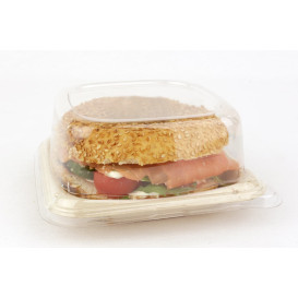 Sugarcane Food Container 14x14cm (50 Units) 