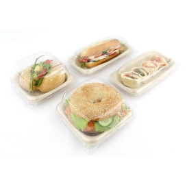 Sugarcane Food Container 14x14cm (50 Units) 