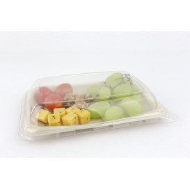 Sugarcane Baguette Container 20x14cm (300 Units)