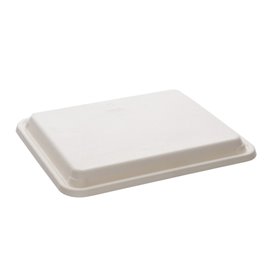 Sucarcane Lid for Tray 5C 30x24cm (50 Units) 