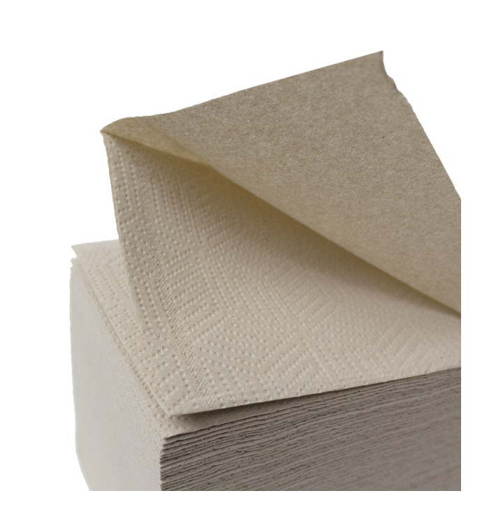 Paper Towel Tissue Eco 2 Layers Z Folding 190 Units