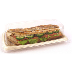 Plastic Lid for Sugarcane Baguette Container 24x11x5cm (50 Units) 