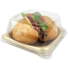 Plastic Lid for Sugarcane Food Container 13x13x5cm (50 Units) 