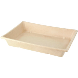 Sugarcane Tray 750ml 22x16x4cm (50 Units) 