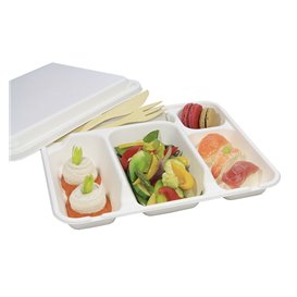 Sugarcane Tray 5 Compartments 30x24x4cm (50 Units) 