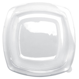 Plastic Lid Clear for Plate Square shape PET 23 cm (25 Units) 