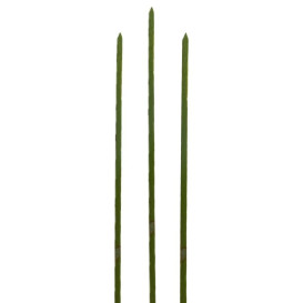 Bamboo Food Pick Natural Green 15cm (200 Units)  