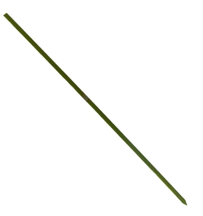 Bamboo Food Pick Natural Green 15cm (200 Units)  