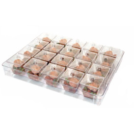 Plastic Tray PS + 20 Bowl Kit with Lid Round Shape Clear (1 Unit)