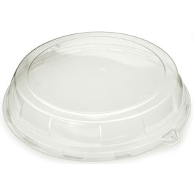 Plastic Lid for Tray 34x8 cm (5 Units) 