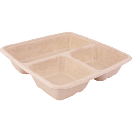 Sugarcane Container 3 Compartments 900ml 23x23x4cm (300 Units)