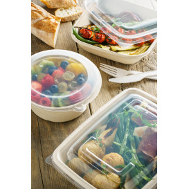 Plastic Lid PP for Container 23x16,5cm (50 Units) 