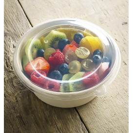 Plastic Lid PP Clear for Bowl 500ml Ø15cm (100 Units)  