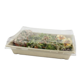 Sugarcane Tray with Lid 750ml 22x16x6cm (90 Units)