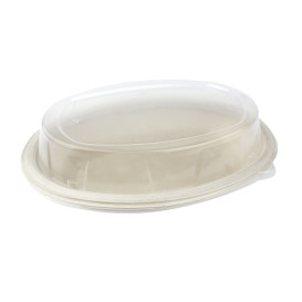 Plastic Dome Lid PP for Tray 24x17cm (50 Units) 