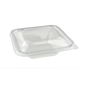 Plastic Bowl PET "Impression" 500ml 17x17x5cm (50 Units) 