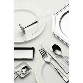 Plastic Plate Extra Rigid with Border Silver 19cm (120 Units)