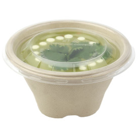 Sugarcane Bowl 375ml Ø13cm (1000 Units)