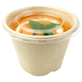 Sugarcane Bowl 500ml Ø13cm (100 Units)