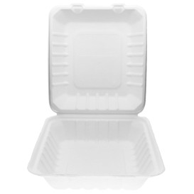 Sugarcane Hinged Container "Menu Box" White 20x18x5cm (50 Units) 