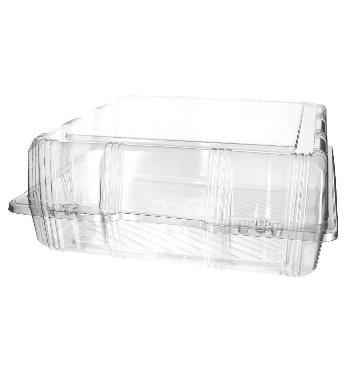 Plastic Hinged Bakery Container PET 25x25x10cm (220 Units)