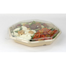 Plastic Lid PET for Container Hexagon Shape 23x23cm (50 Units)