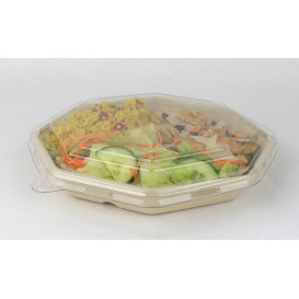 Plastic Lid PET for Container Hexagon Shape 23x23cm (50 Units)