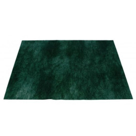 Novotex Placemat Green 50g 35x50cm (500 Units)  