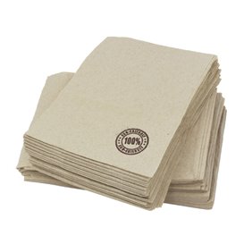 Paper Napkins Eco "Recycled" 17x17cm (14000 Units)