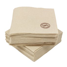 Paper Napkin Eco "Recycled" 33x33cm 2C P-P (50 Units)