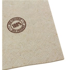 Decorative Paper Napkin Eco "Recycled" 20x20cm 2C (100 Units) 