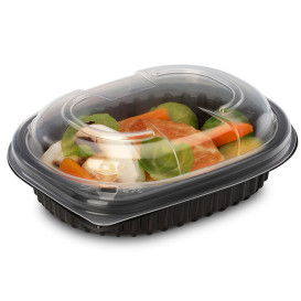 Plastic Container PP Rectangular Shape 250ml 14,2x11,1x3,1cm (80 Units)  