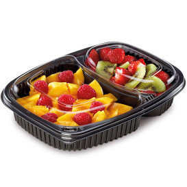 Plastic Container PP Rectangular Shape 2C 1050ml 25,5x18,9x4,5cm (40 Units) 