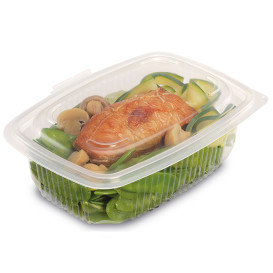 Plastic Container Microwave PP Transparente 600ml 18,5x13,5cm (50 Units) 