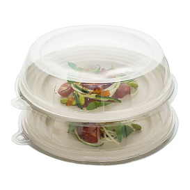 Plastic Lid for Sugarcane Plate Clear 23x5cm (126 Units)