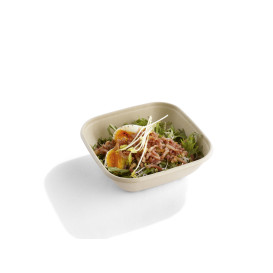 Sugarcane Bowl PLA 750ml 17x17x5cm (50 Units) 