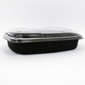 Plastic Container PP Rectangular Shape 1250ml 25,5x18,9x4,5cm (40 Units) 