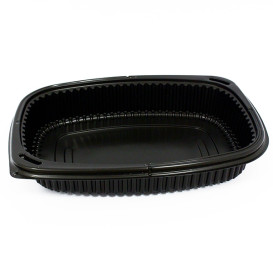 Plastic Container PP Rectangular Shape 1250ml 25,5x18,9x4,5cm (320 Units)