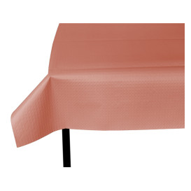 Pre-Cut Paper Tablecloth Salm (300 Units) on 40g 1,2x1,2m (300 Units)  