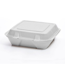 Sugarcane Hinged Container "Menu Box" White 3C 24x23x7,6cm (50 Units)